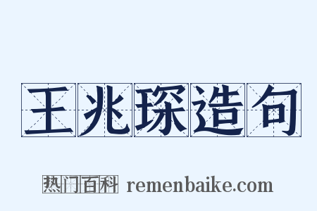 王兆琛造句是什么意思的图片